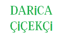 http://www.daricacicekci.com