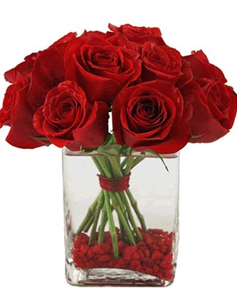 Romantik Aşık 